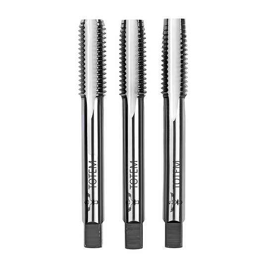 TOTEM HSS TAP SET 20MM X 2.5 PITCH
